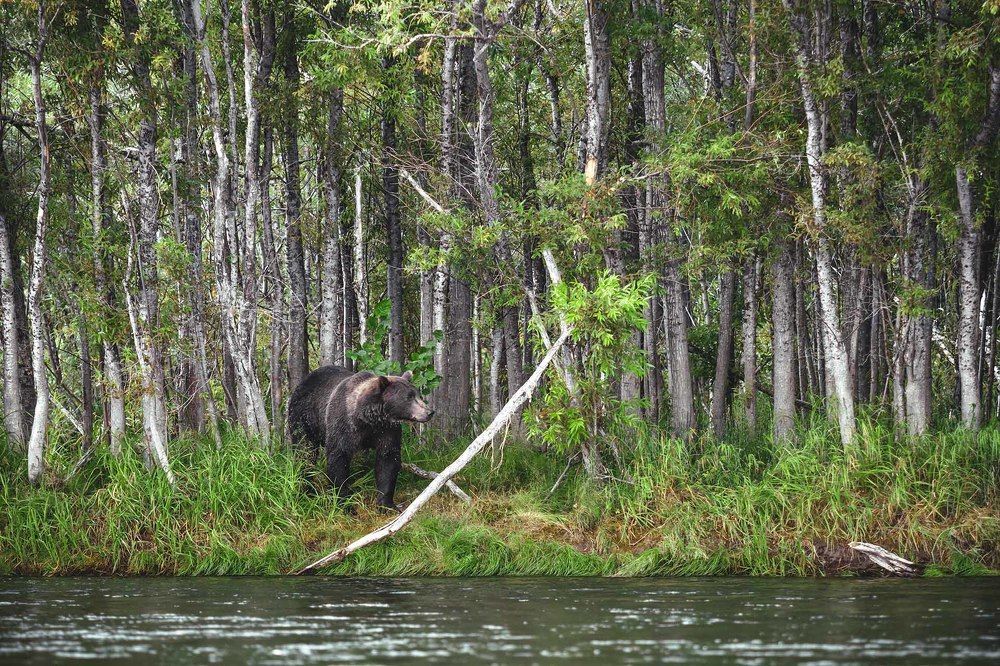 Photograph by Слащилина Нина