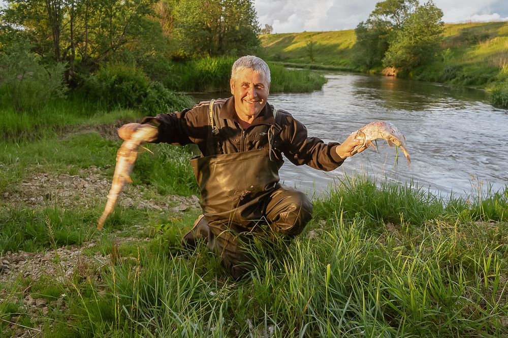 Фотография автора Николай Бологов