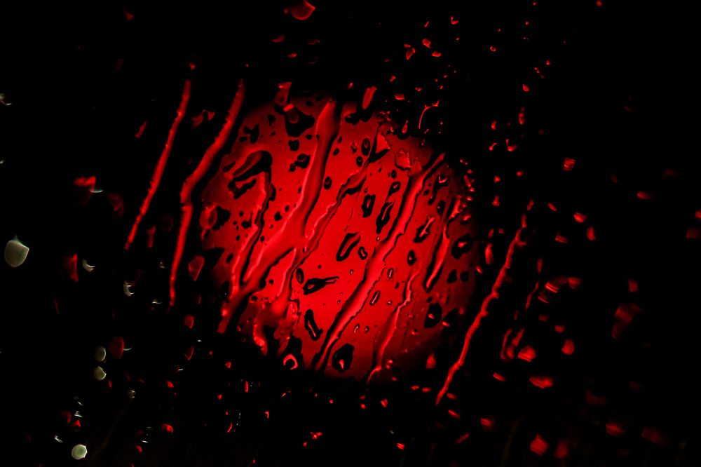 Photograph by Mostafa Mortazavi