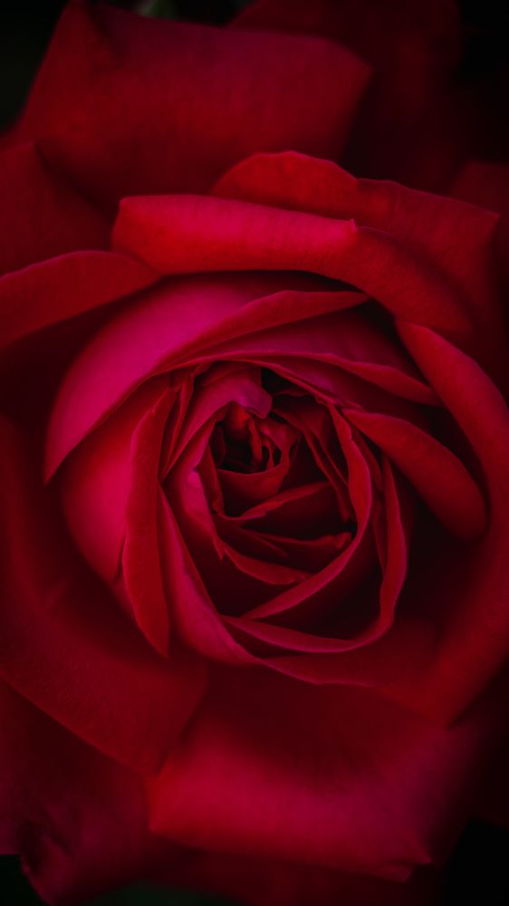 Photograph by Mostafa Mortazavi