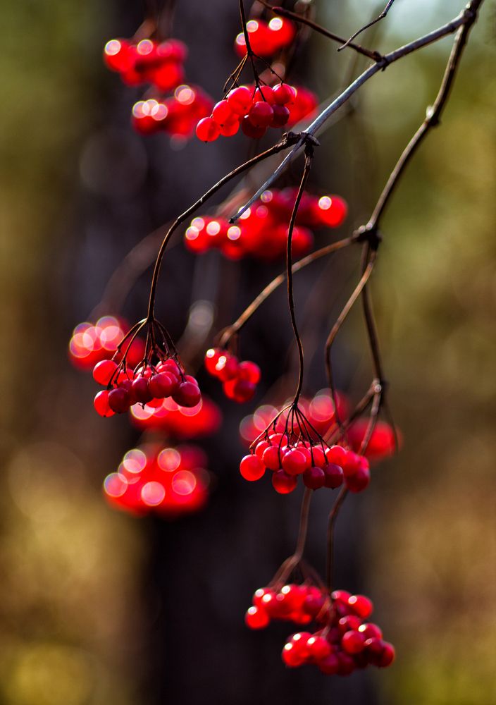 Photograph by Фёдор Никитин