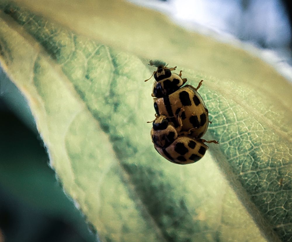 Photograph by Александра Петрова