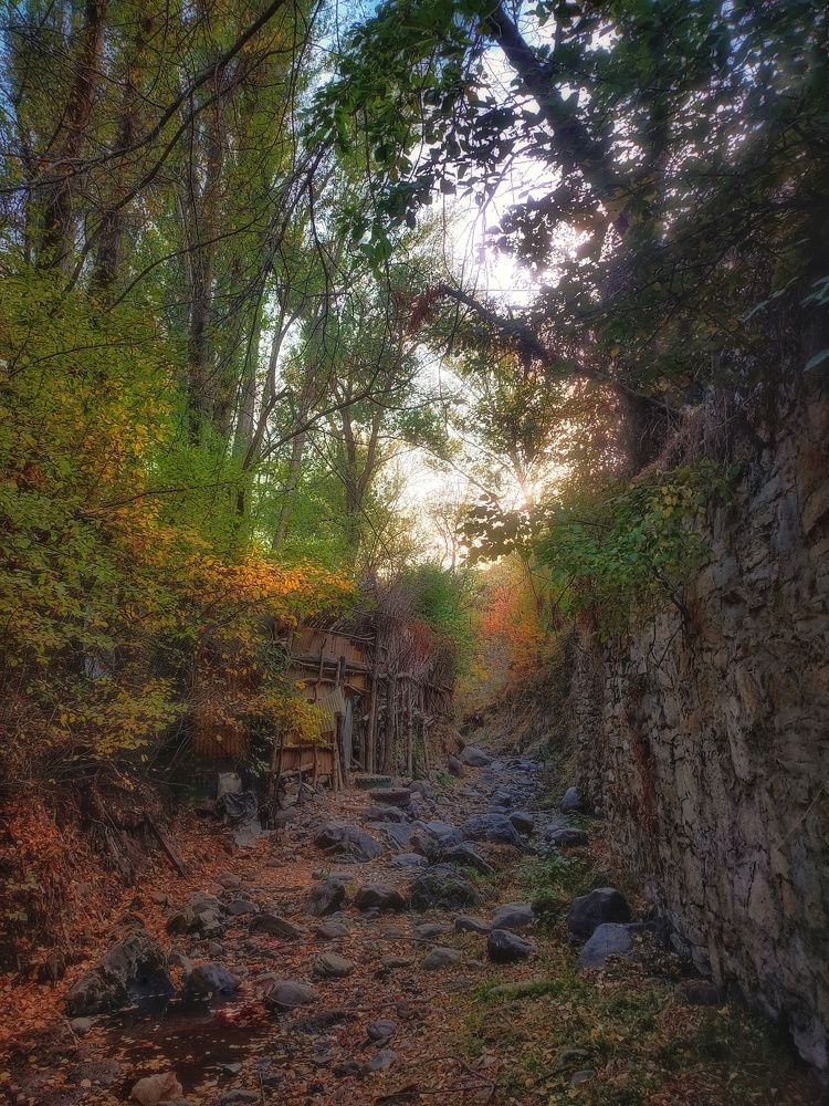 Photograph by ali asghar ahngari