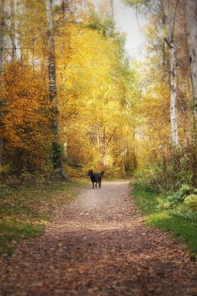 Фотография автора Кристина Данилюк