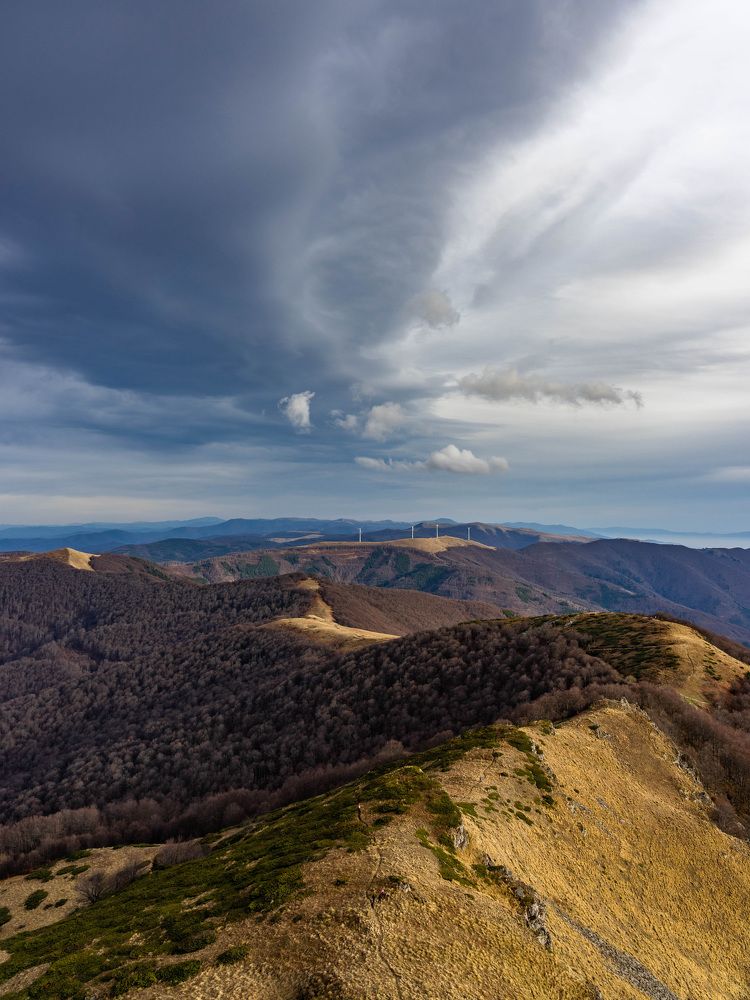 Фотография автора Виктор Демидов
