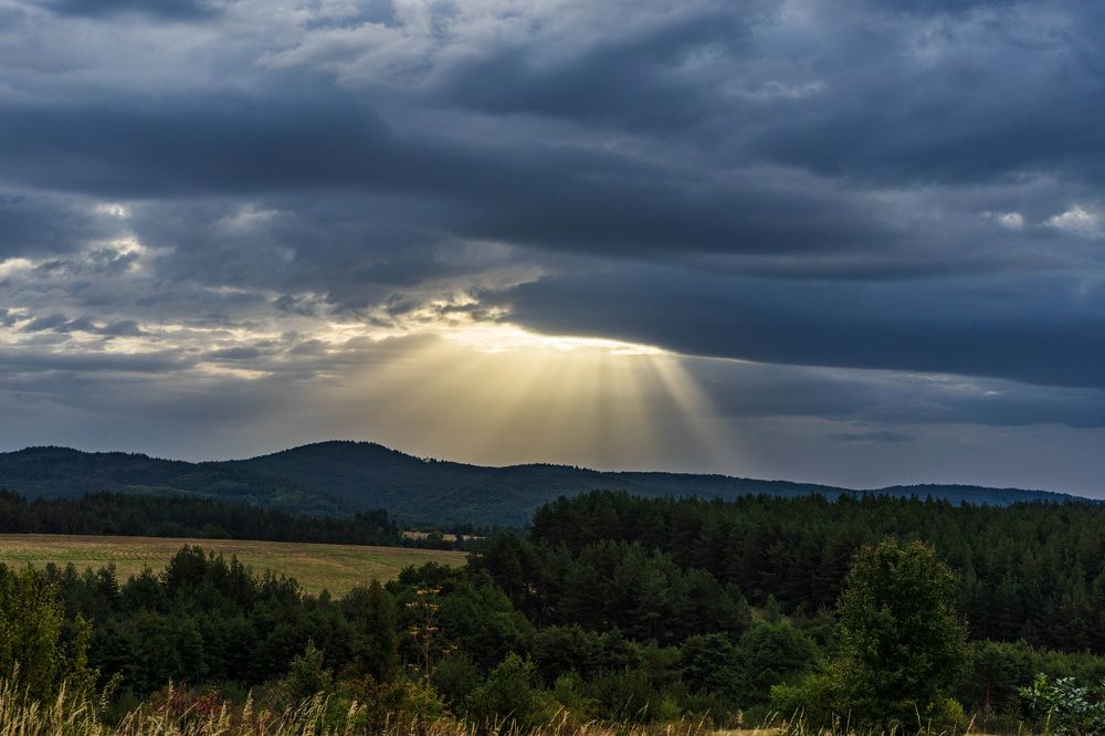 Фотография автора Виктор Демидов