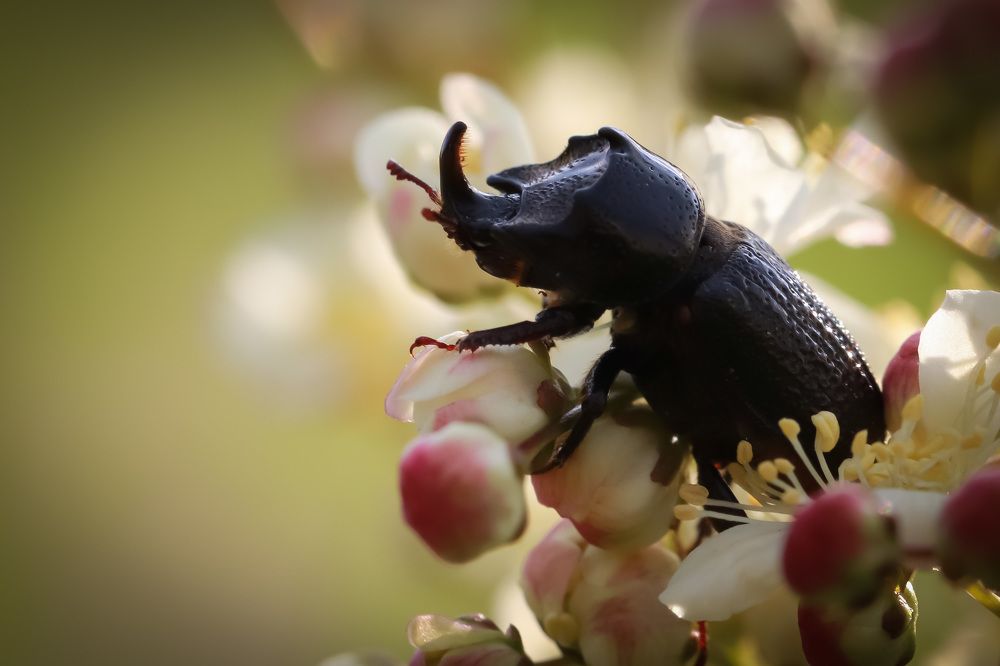 Photograph by Наталья Викарчук