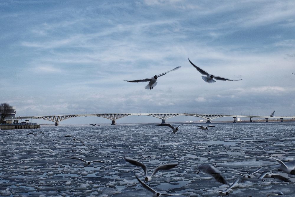 Photograph by Алла Никушкина