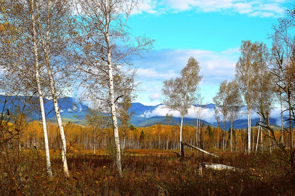 Photograph by Галина Искандарова