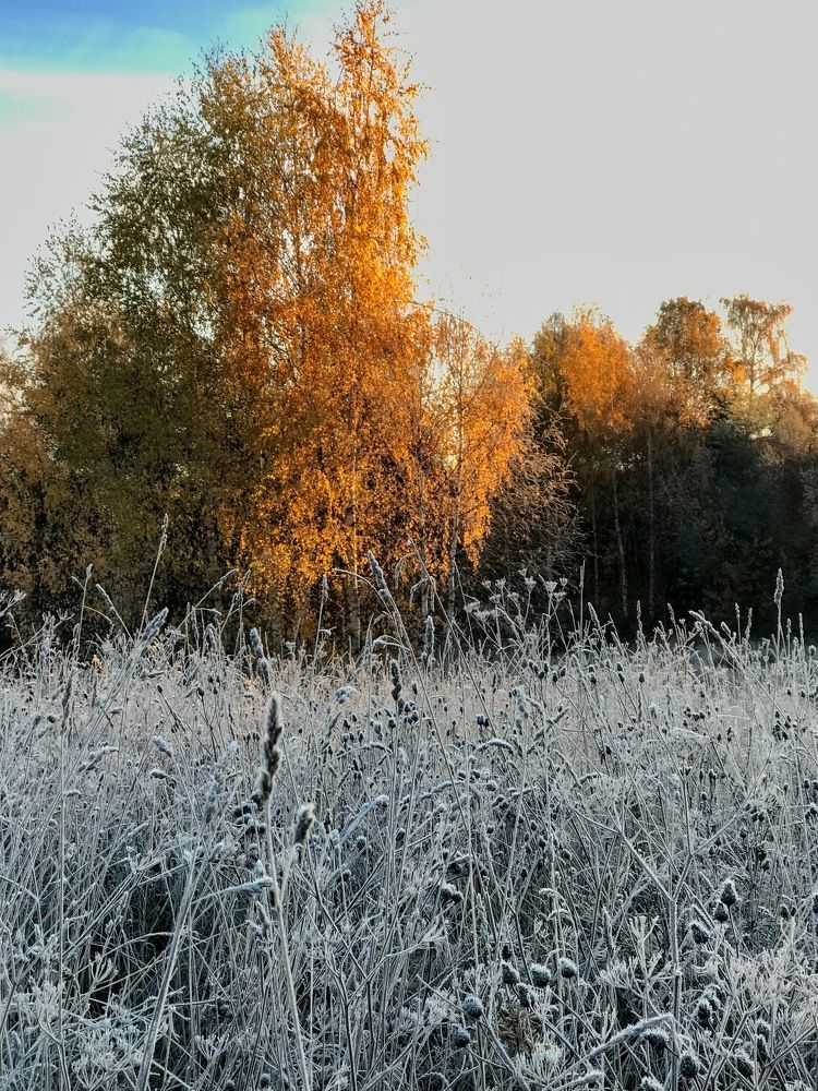 Photograph by Татьяна Шибанова