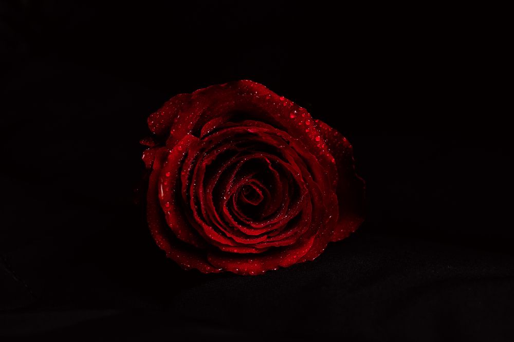 Photograph by Ольга Осинина