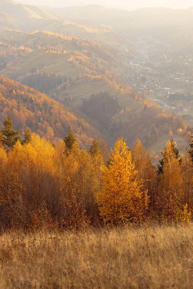 Photograph by Виктория Бурова