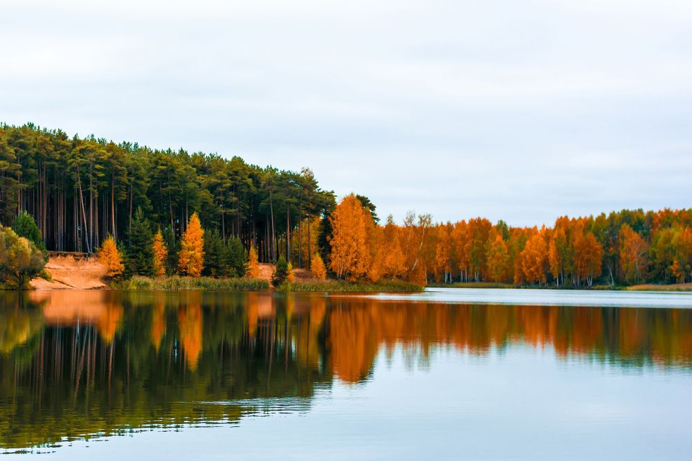 Photograph by Дмитрий Спорышев