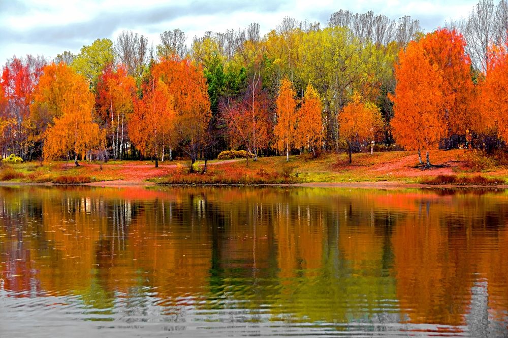 Photograph by Дмитрий Спорышев