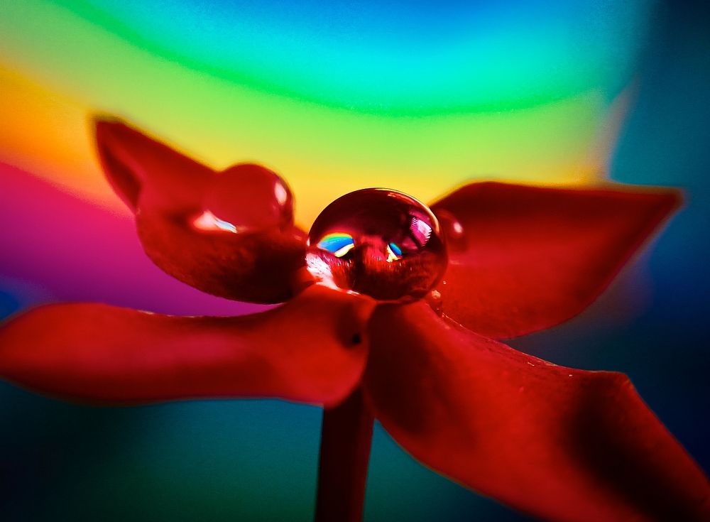 Photograph by Souvik Bhattacharyya