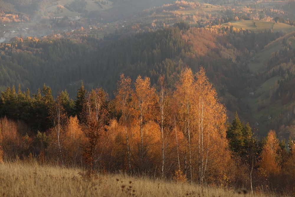 Photograph by Виктория Бурова