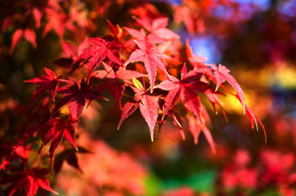 Photograph by Роман Приходько