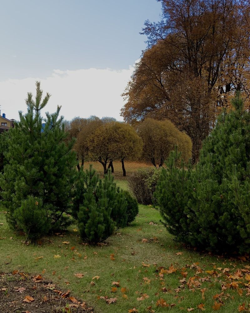 Photograph by Надежда Смирнова