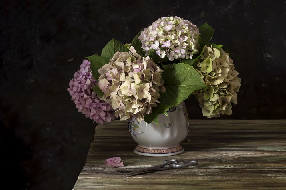 Photograph by TETYANA LYAPI