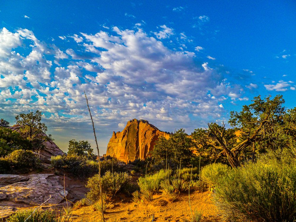 Photograph by Susobhan Biswas