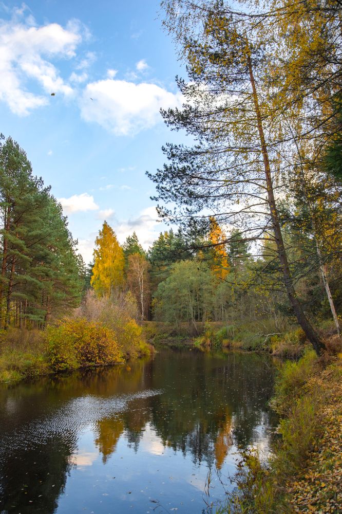 Фотография автора Геннадий Коробов
