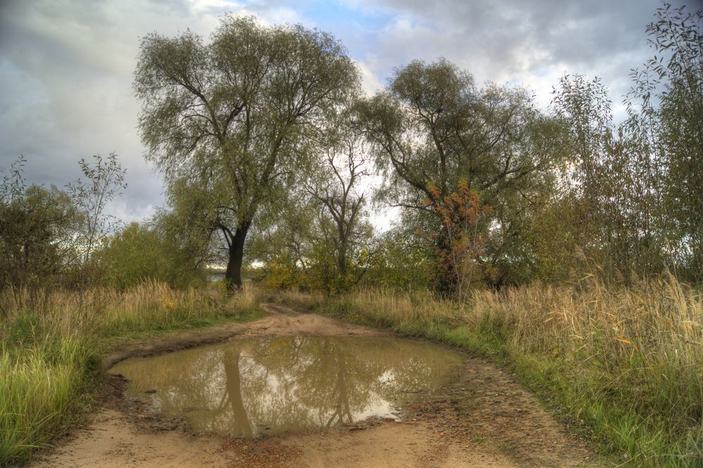 Photograph by Алексей Жариков