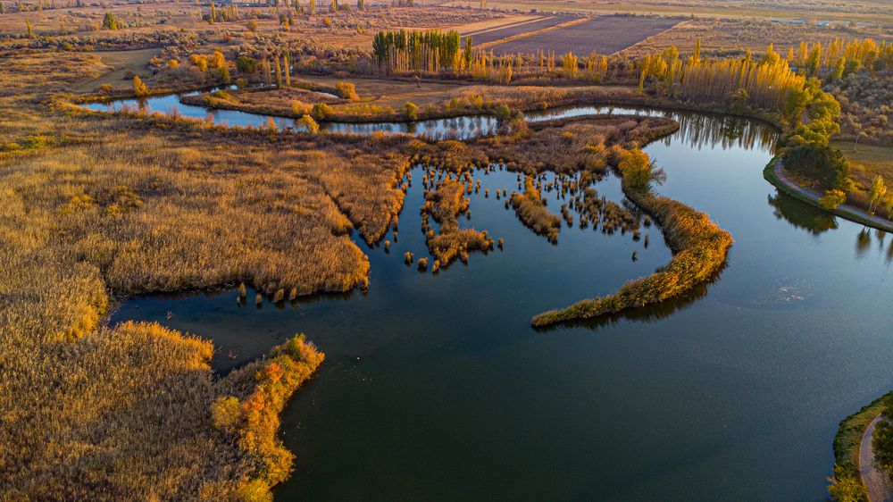 Photograph by Дмитрий Балеевских