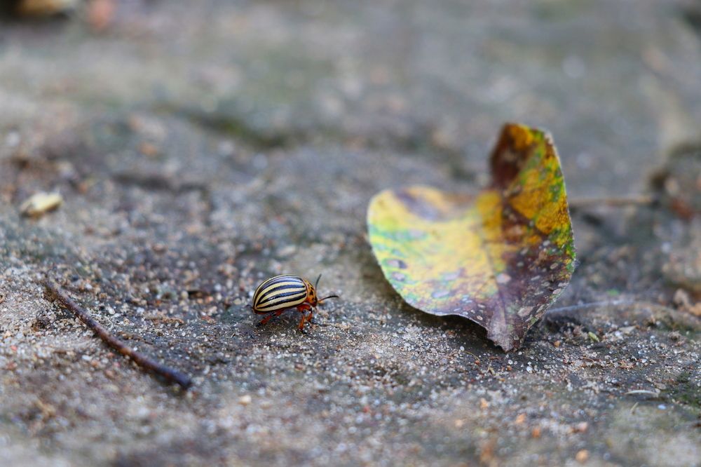 Photograph by Марина Миклашевич