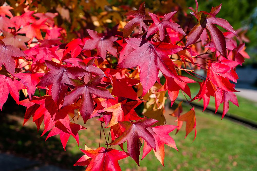 Photograph by Роман Приходько