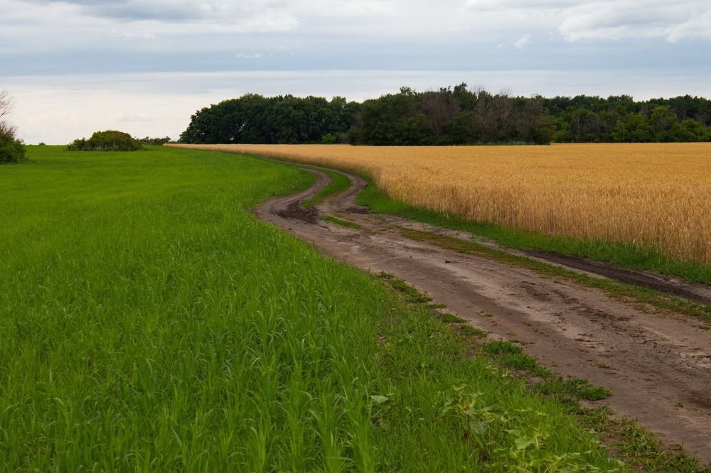 Photograph by Светлана Попкова