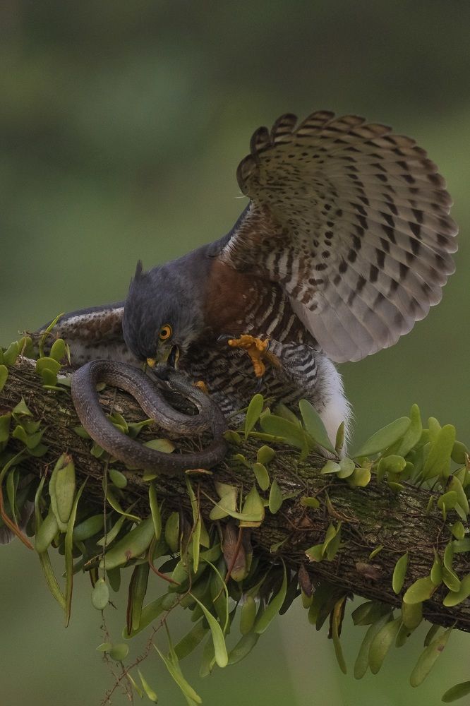 Photograph by Dikye Ariani