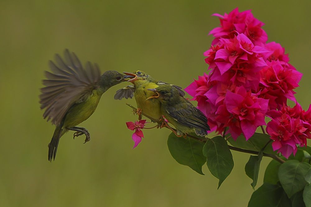 Photograph by Dikye Ariani