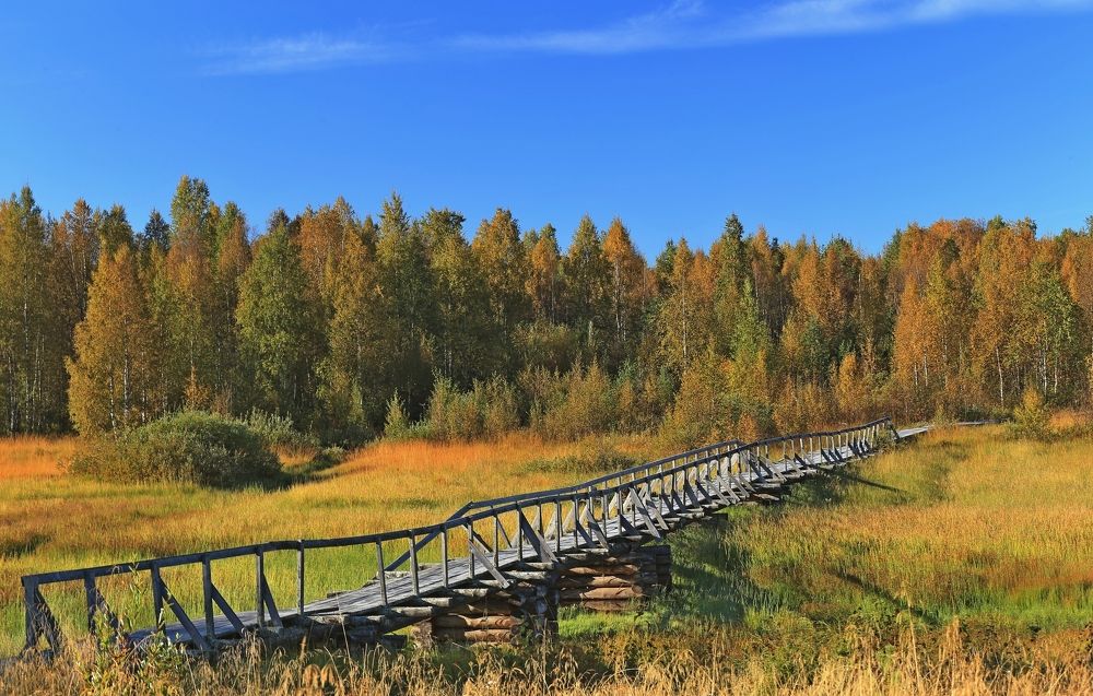 Фотография автора Юрий Кетель