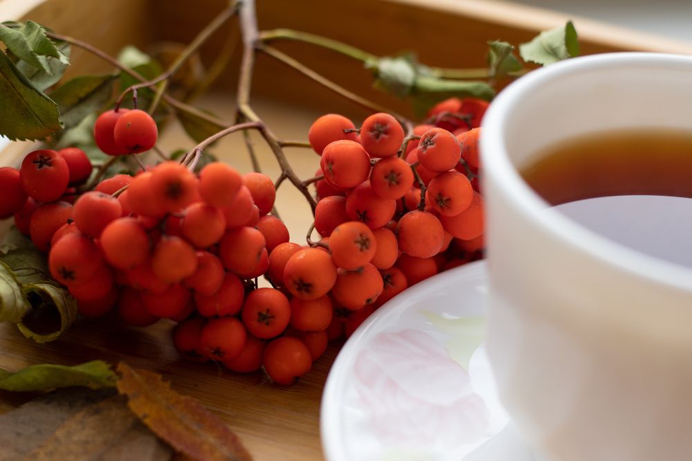 Photograph by Наталья Мотрий