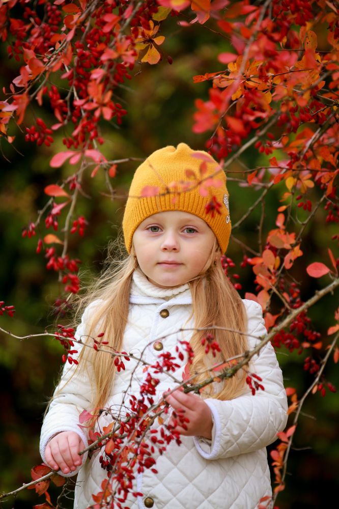 Фотография автора Светлана ДЕРЖИЦКАЯ