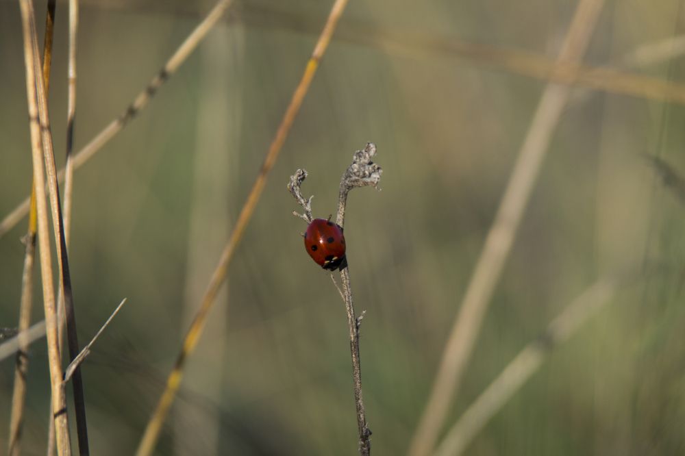 Photograph by 