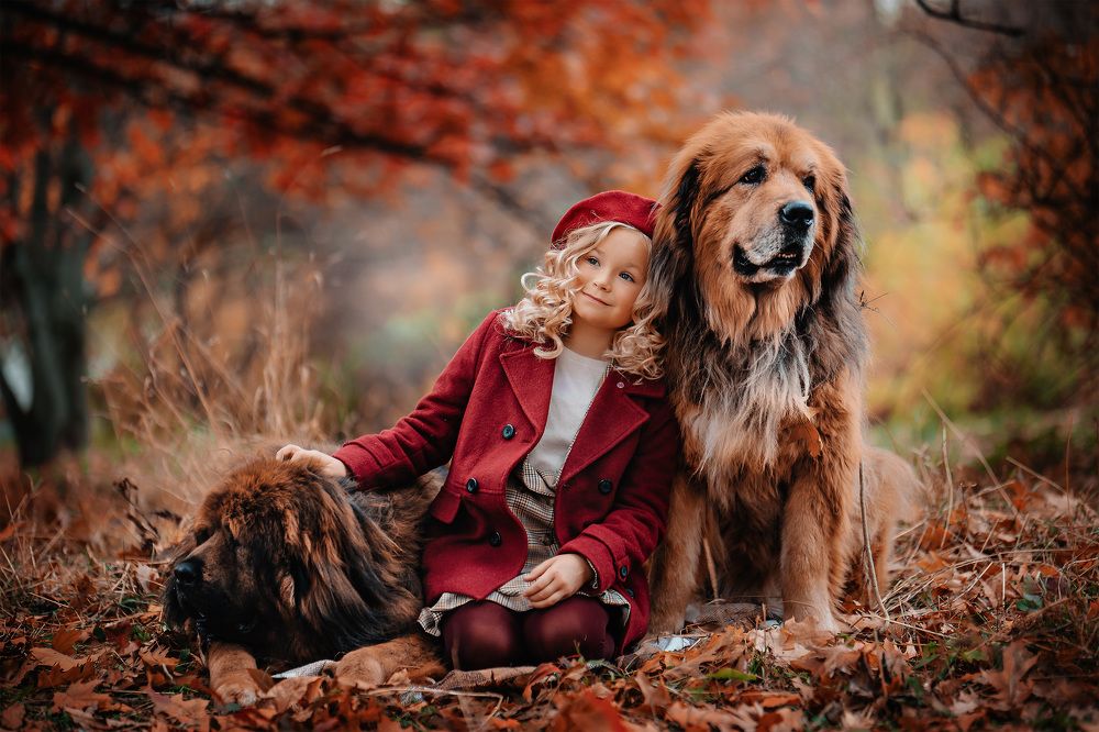 Фотография автора Владимир Кузнецов