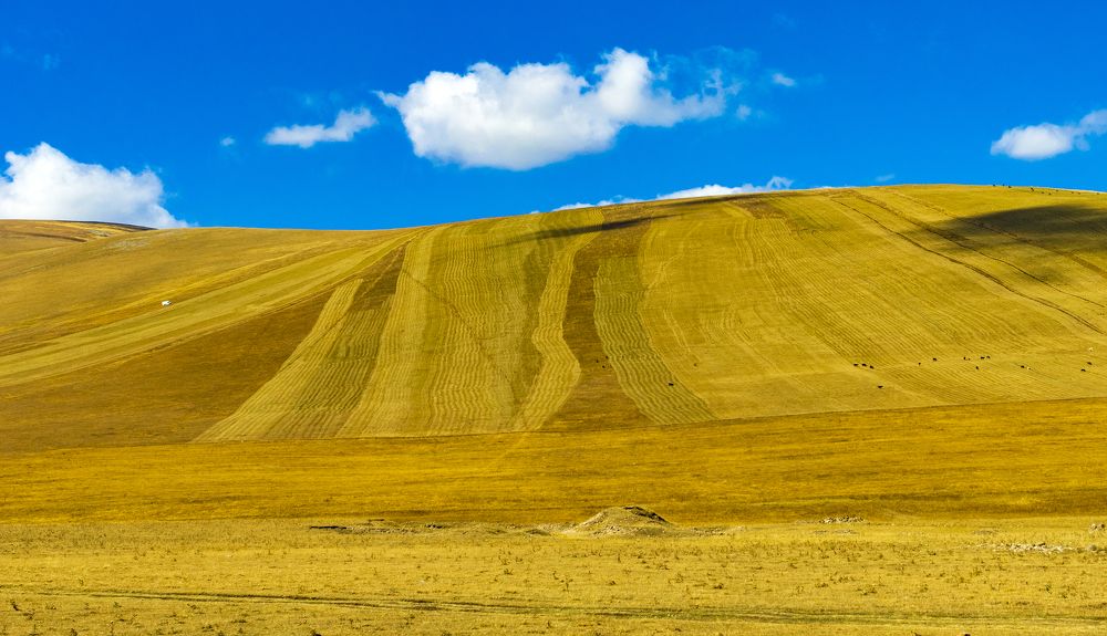 Photograph by Alex Kalpus