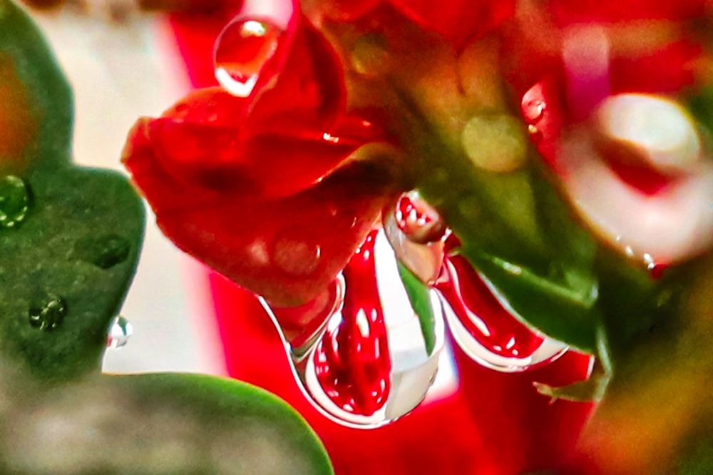 Photograph by Socratis Georgiadis