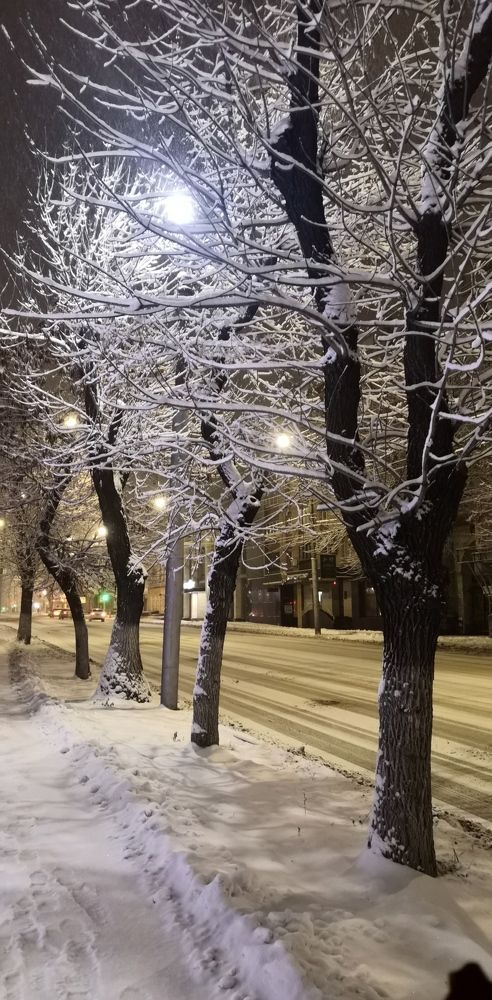 Photograph by Юлия Пацке
