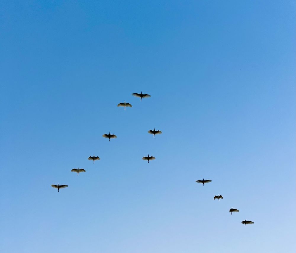 Photograph by Sharma Dr Megha