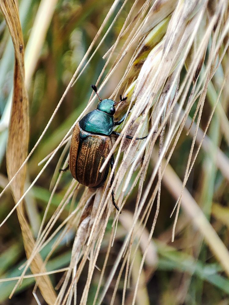 Photograph by Оксана Бурцева