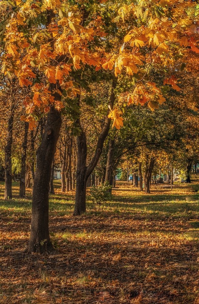 Photograph by Наталья Исиченко