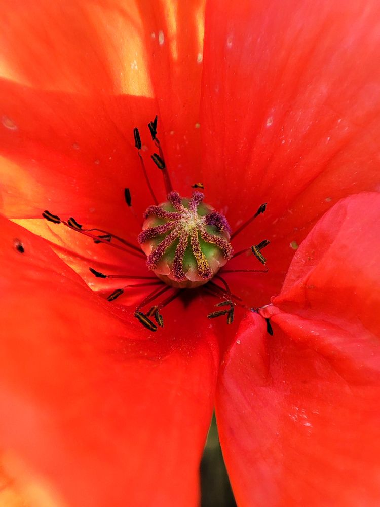 Photograph by Оксана Бурцева