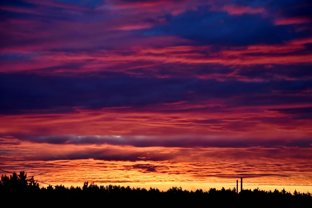 Photograph by НИНА АВЕРЬЯНОВА