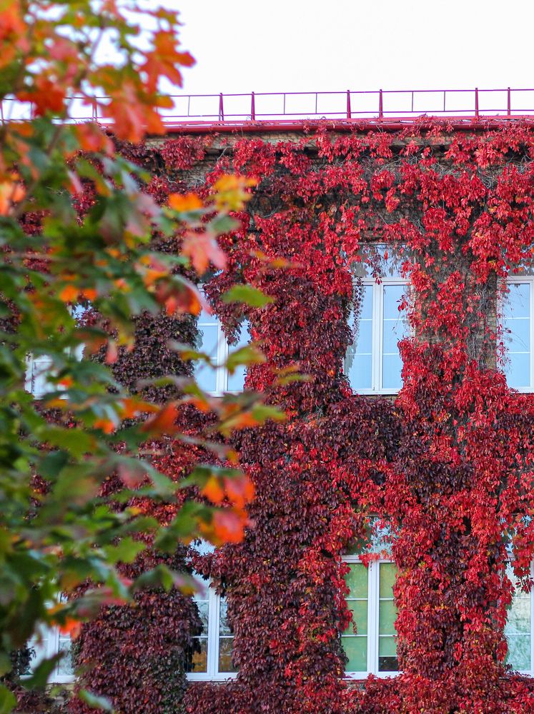 Photograph by Оксана Бурцева