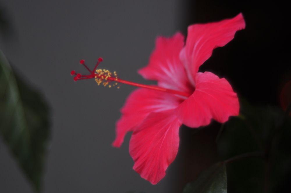 Фотография автора Медведев Сергей