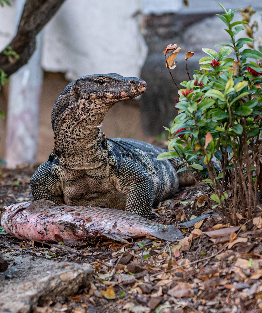 Photograph by Алексей Торлопов