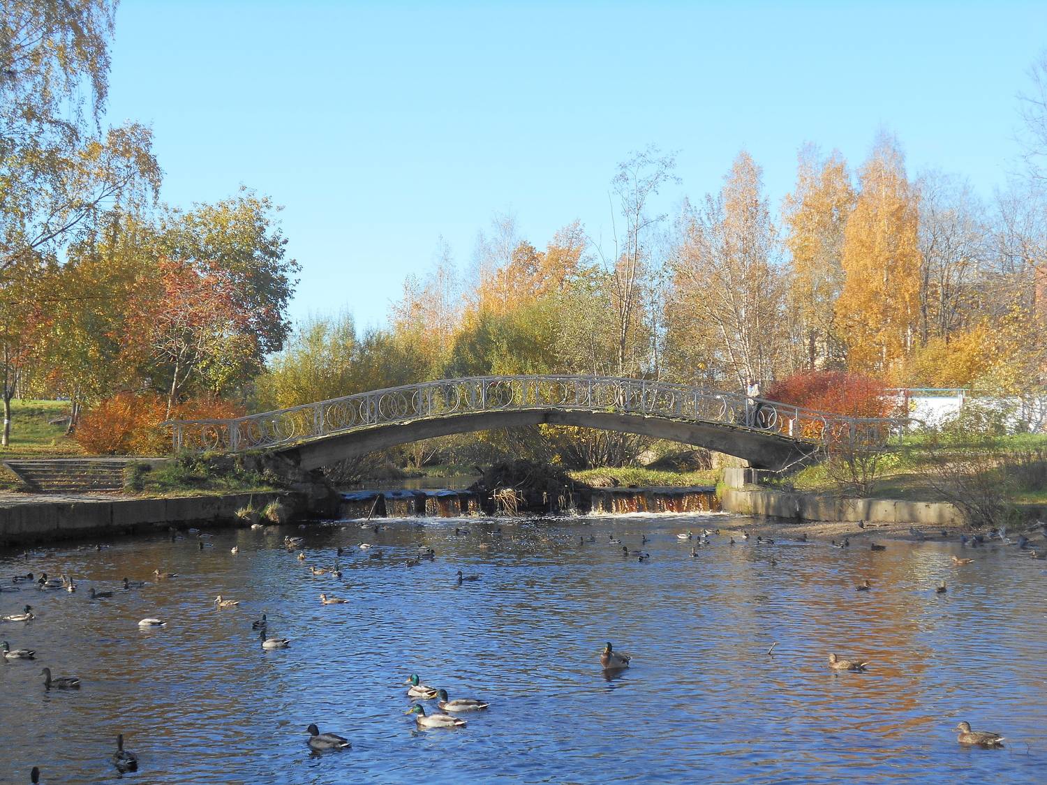 Photo #8274918