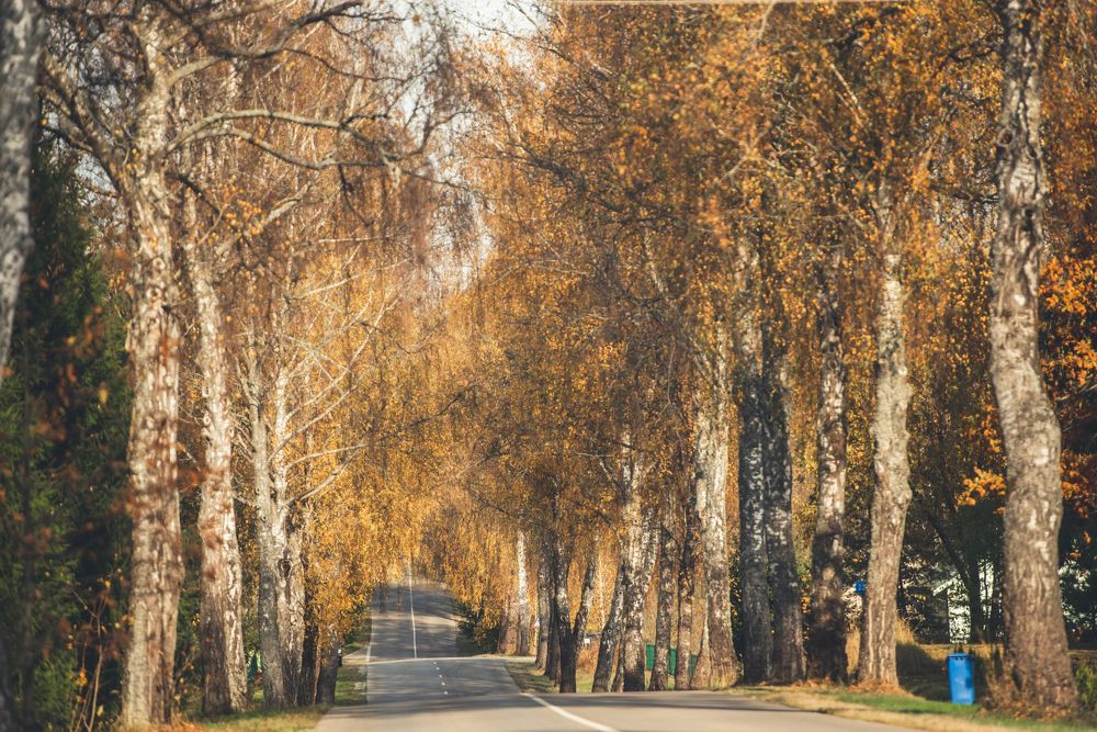 Photograph by Žaneta Bytautiene